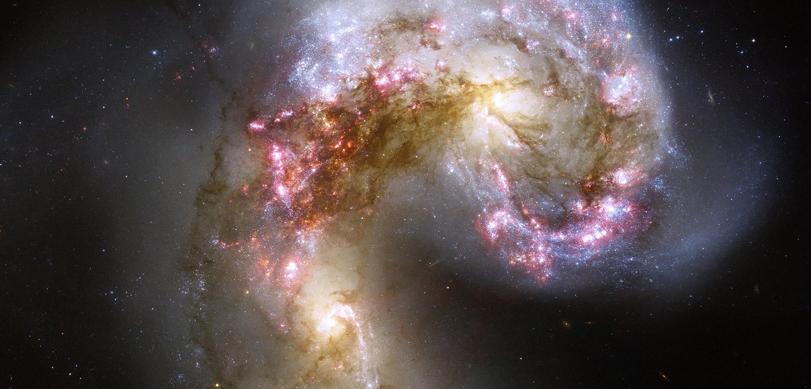 Hubble image of the Antennae galaxies shows two bright yellowish cores, dark dust lanes, blue star clusters and pink nebulae.