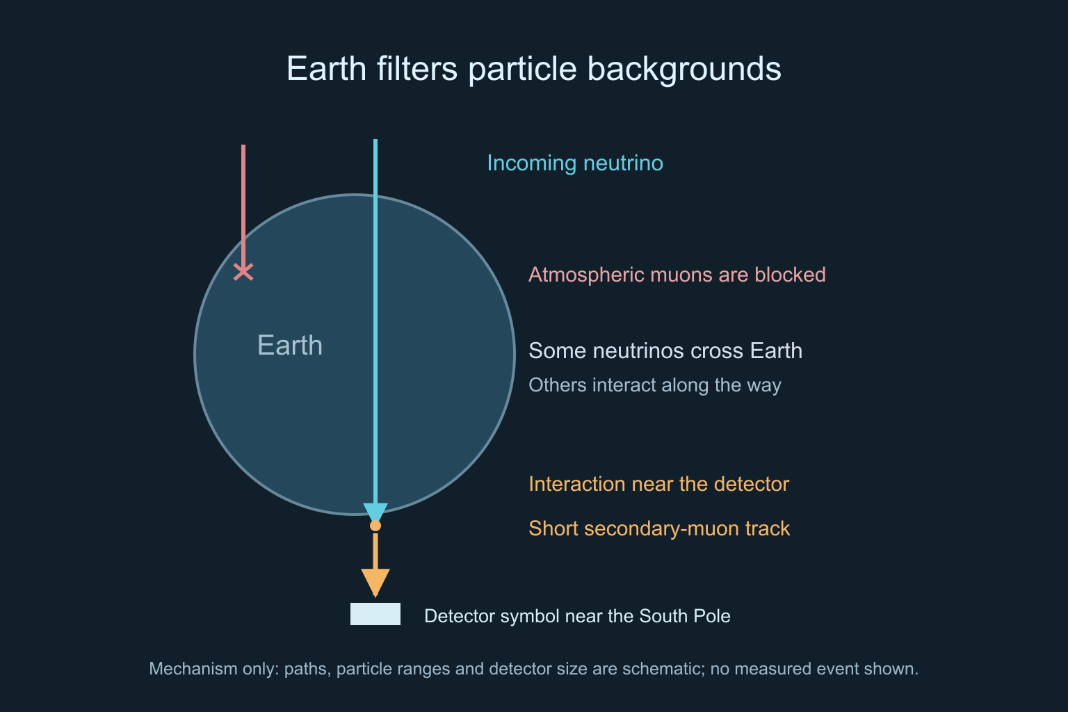 Schematic Earth cross-section shows a neutrino crossing the planet, an atmospheric muon stopped along the way, and a secondary-muon track near a detector symbol at the South Pole.